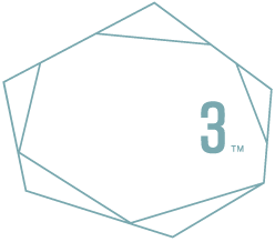 Agency Fifty3 Logo