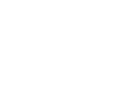 Agency Fifty3 Logo